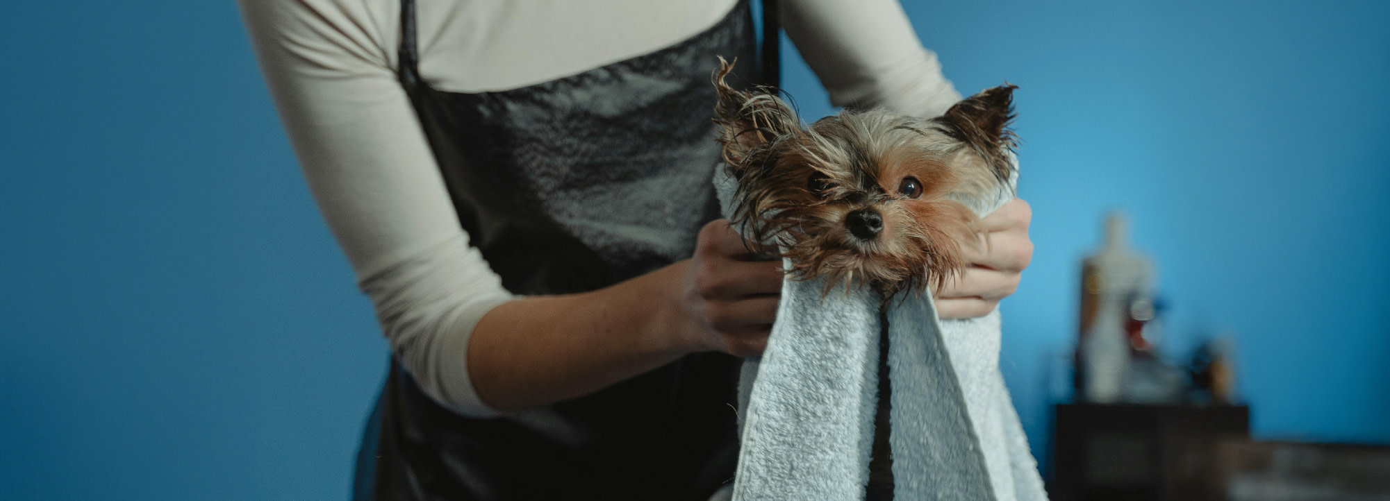 Artboard 46 copy 7-100