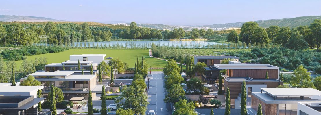 Orientiri Lisi - თიბისი კონცეპტის შეთავაზება