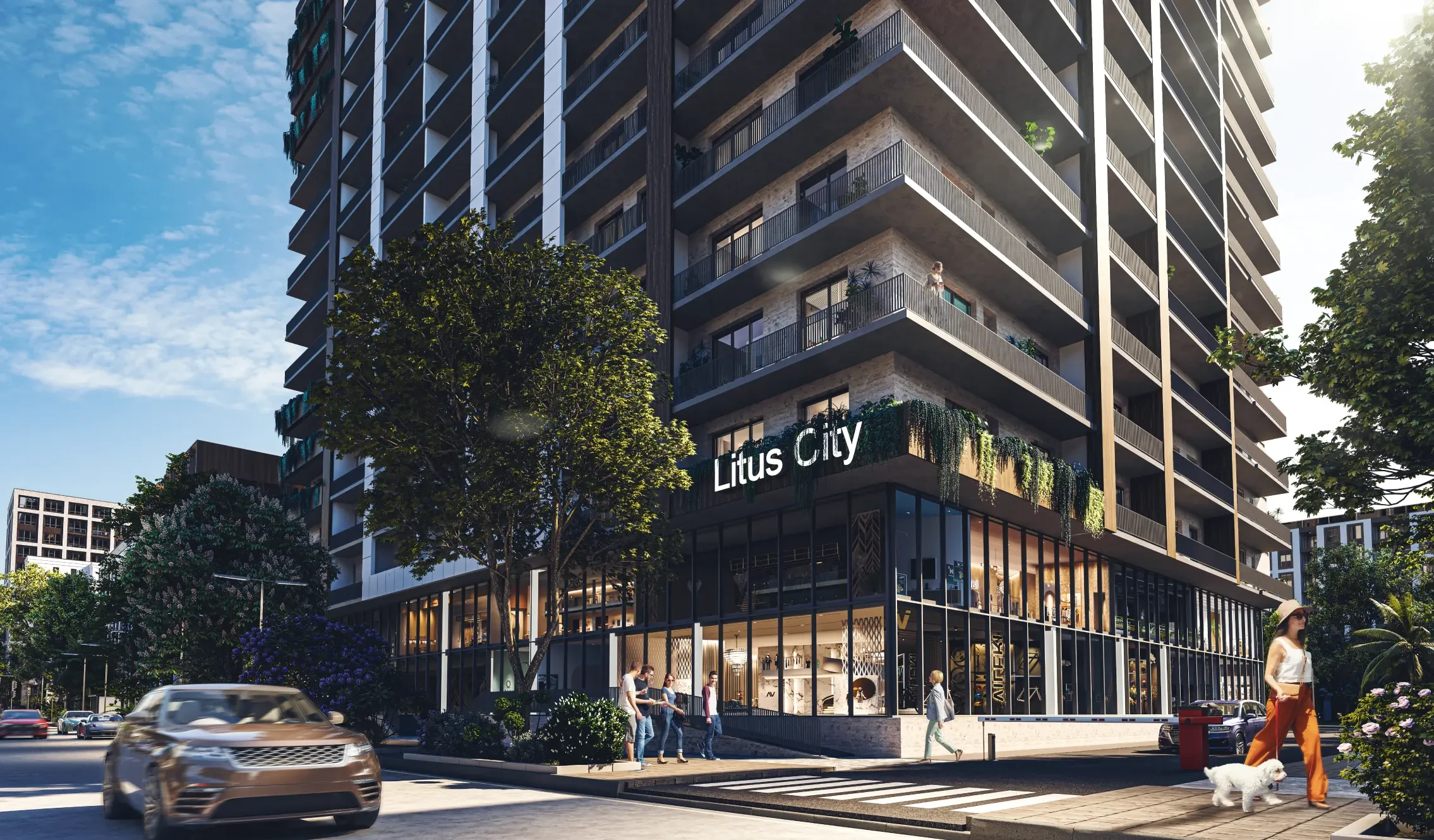 litus city banner