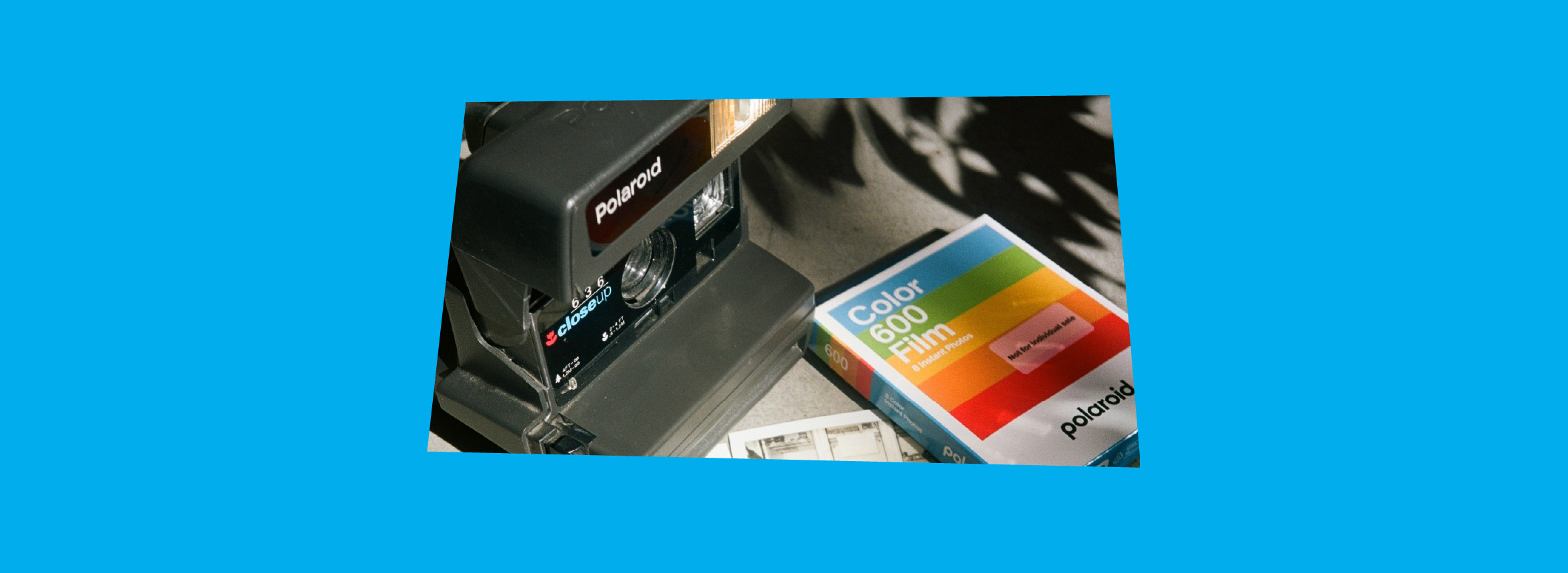 Magnolia ბანერი