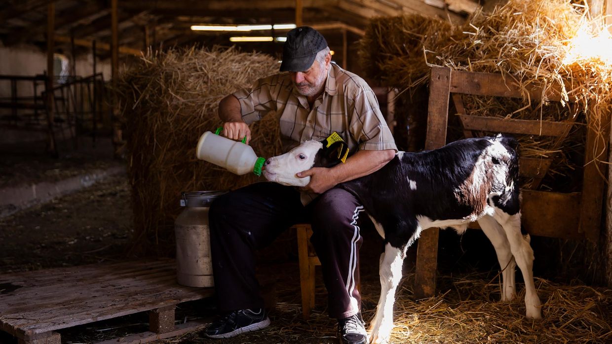 subsidized agro loan
