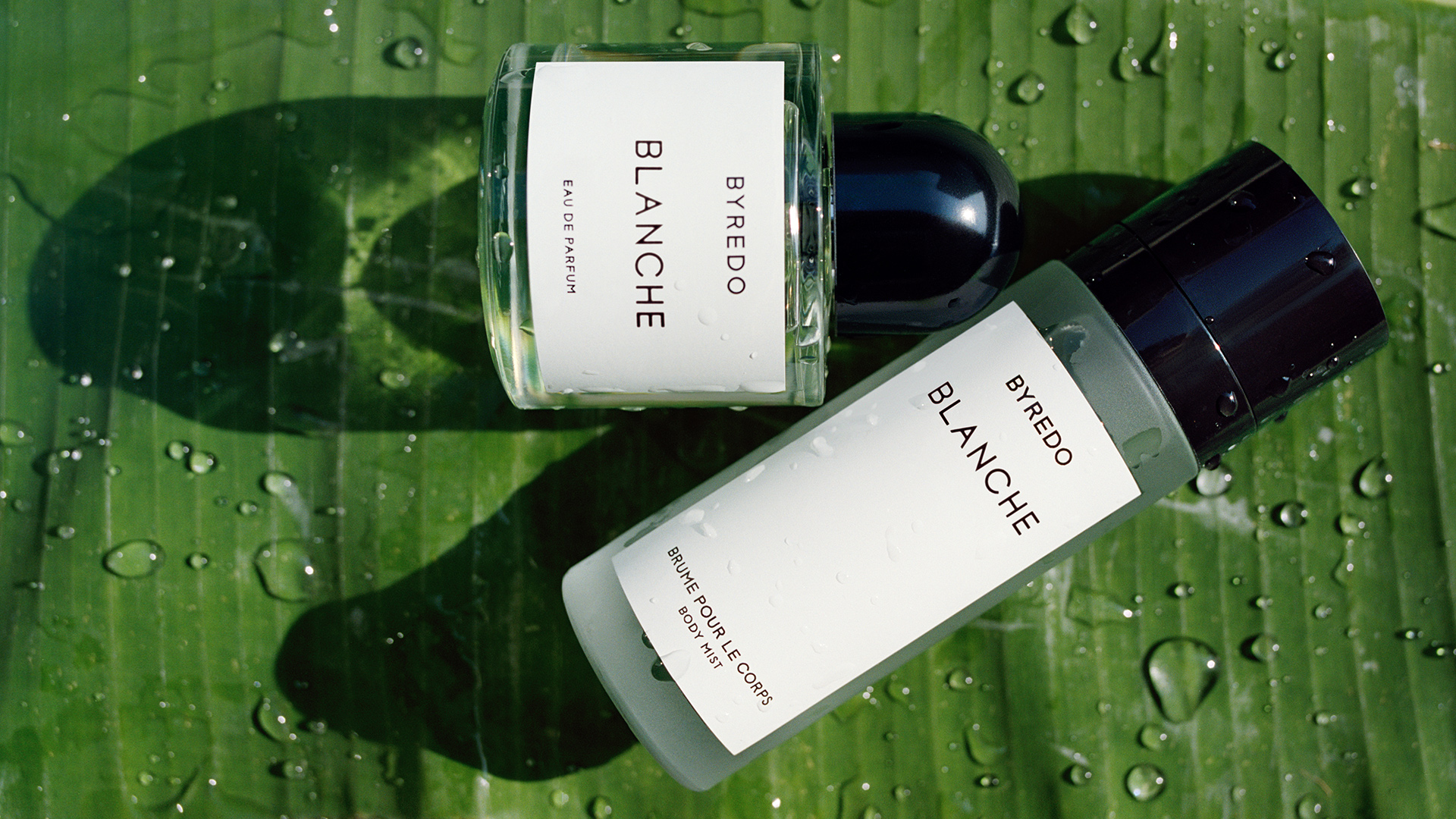BYREDO Official Website | Perfumes, Candles & Body Care