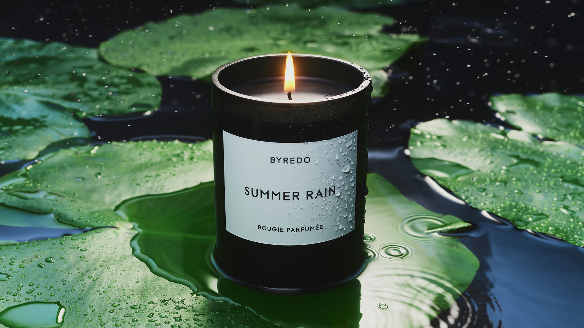 バイレード BYREAD リメンバランス 試してみた】REMEMBRANCE BYREDOの人気色・イエベブルベ別の
