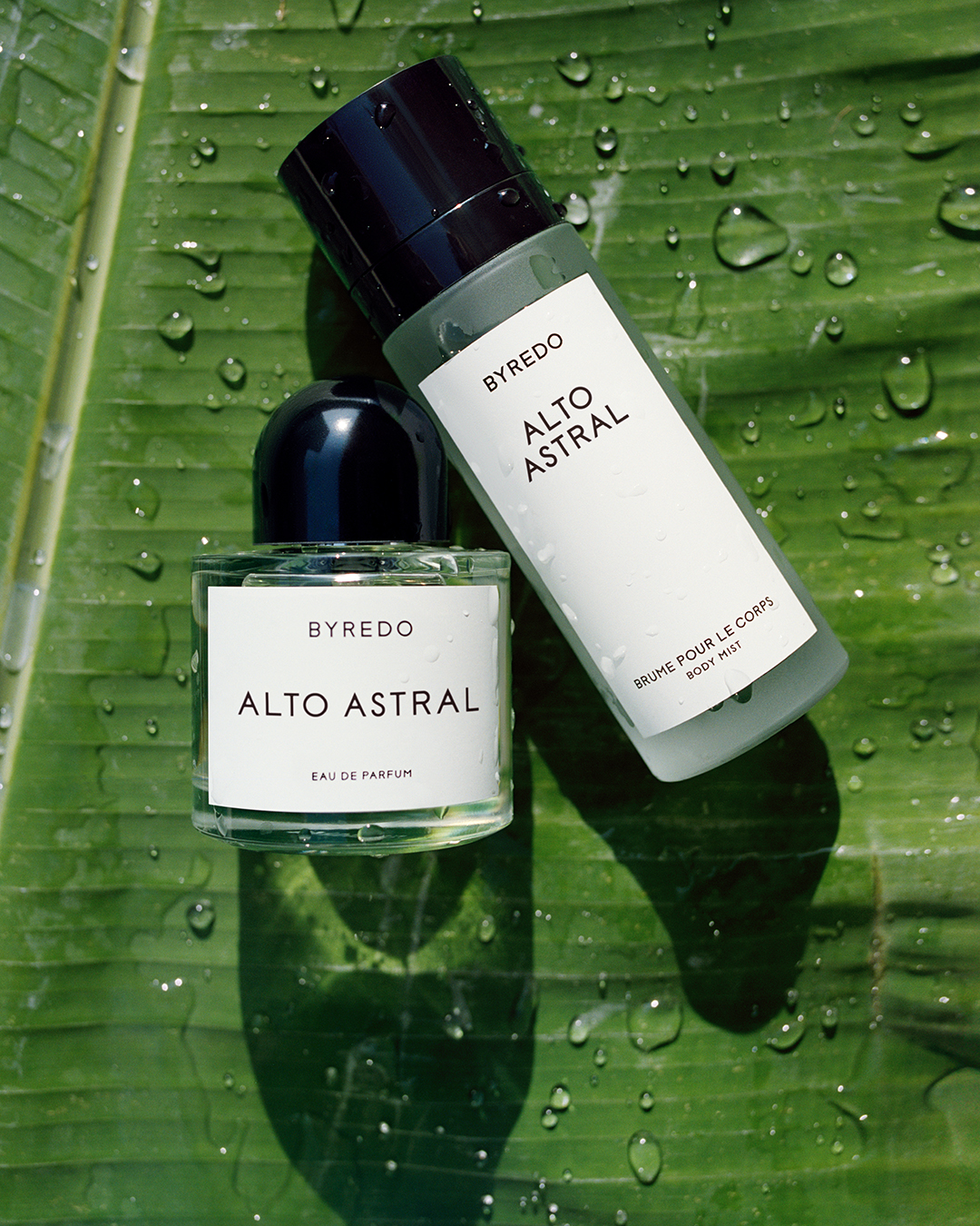 La Sélection Eau De Parfum 3x12 ml: Choose Your Scents