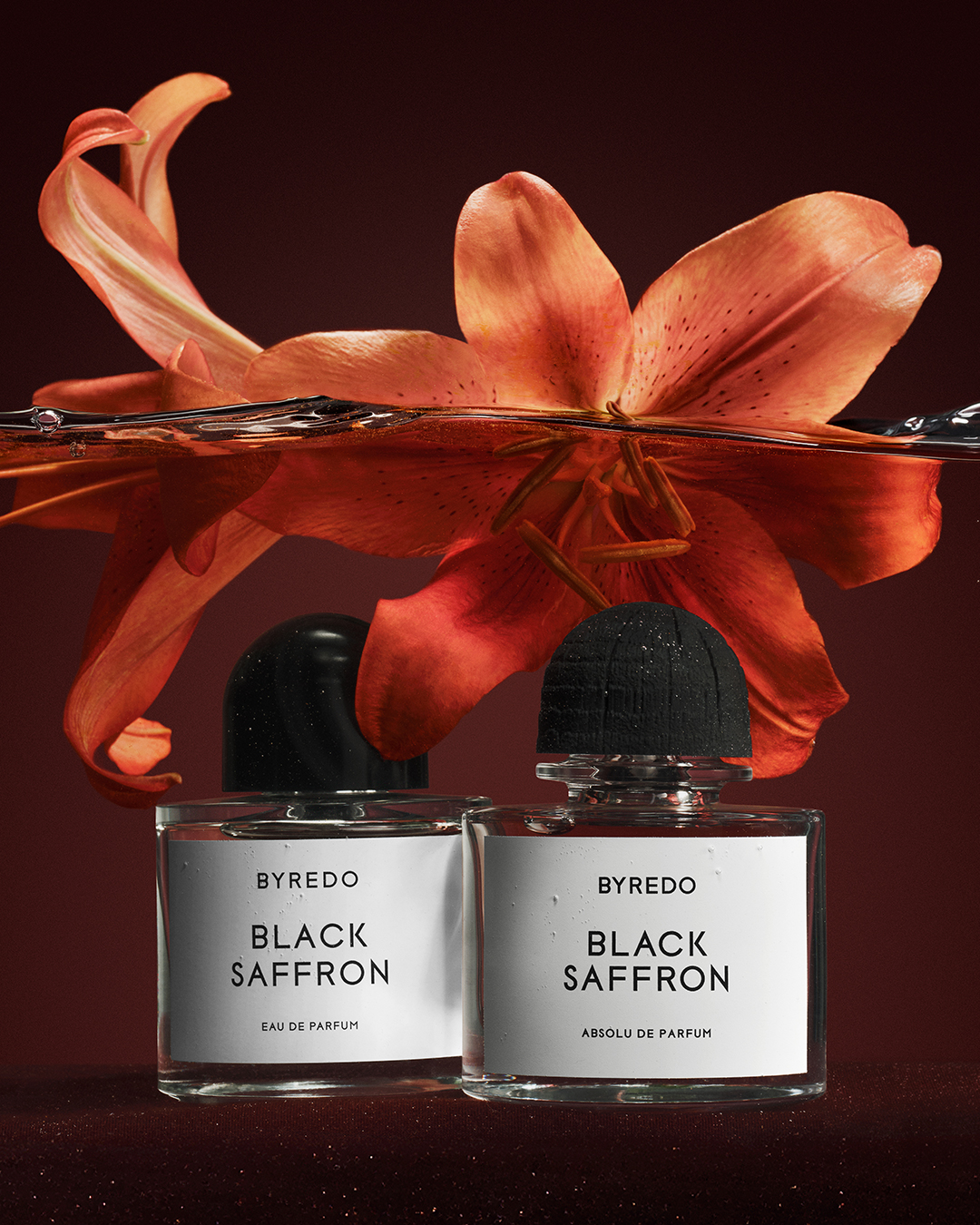 月の花 キャンペーン | BYREDO