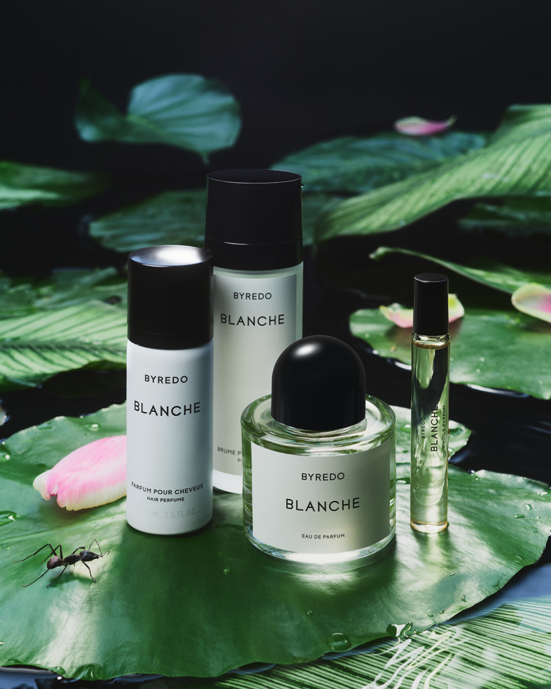 BYREDO Official Site | Perfumes, Candles & Body Care