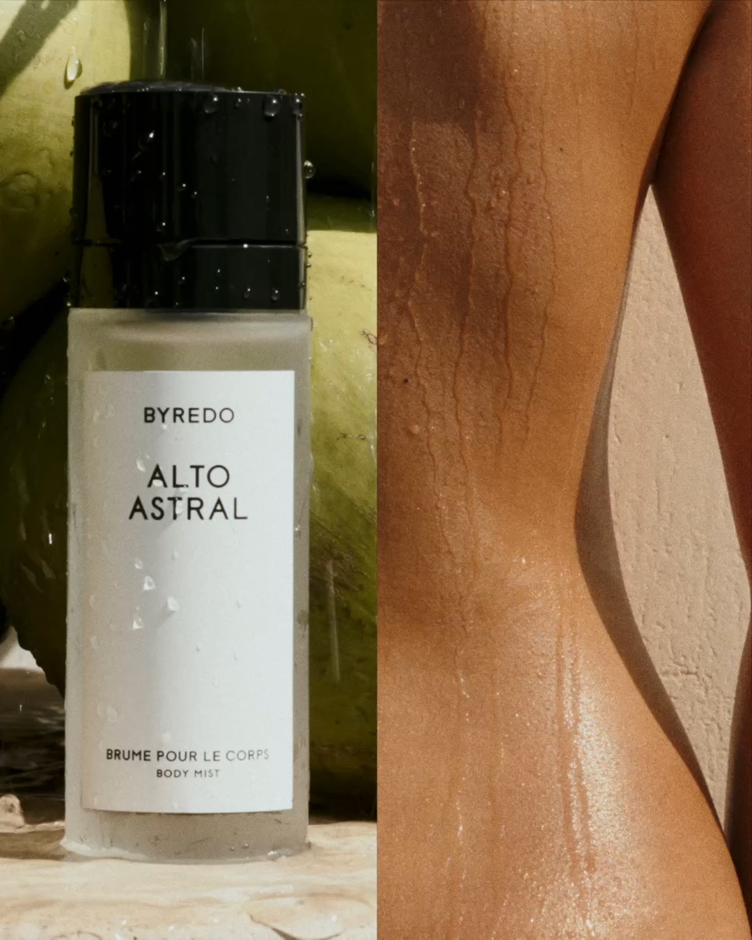 サマー メモリーズ | BYREDO