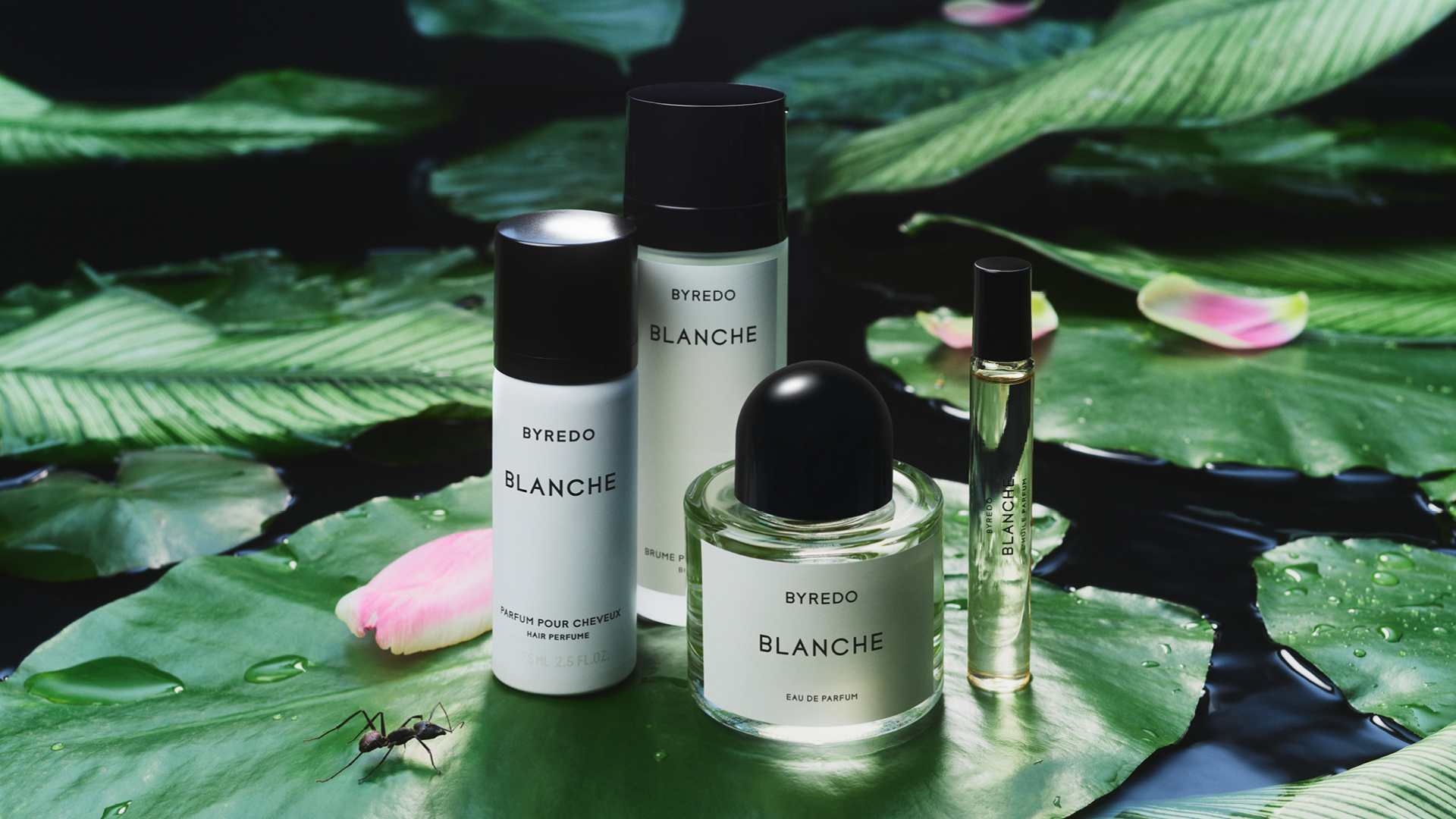 BYREDO Official Site | Perfumes, Candles & Body Care