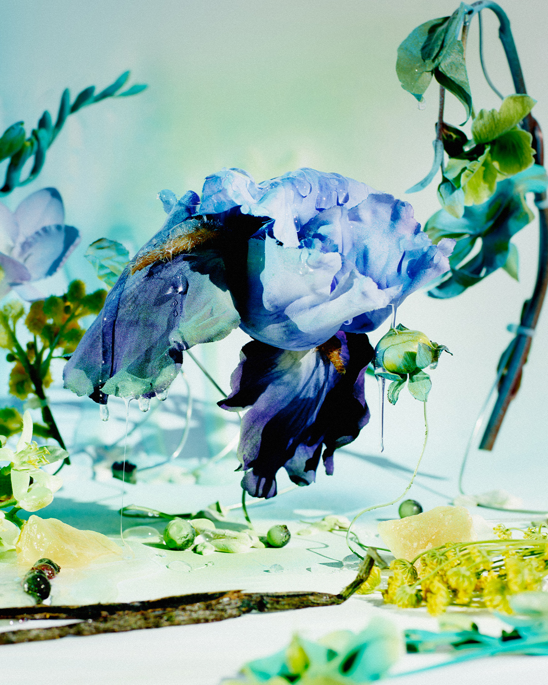Future Memories Campaign | BYREDO