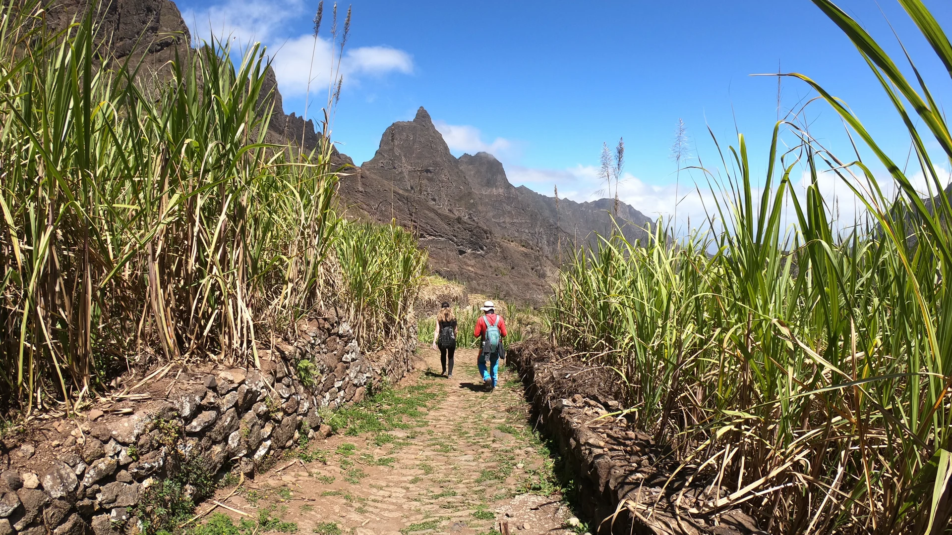 Christmas Expedition Cruise | Cape Verde & the Bissagos Islands