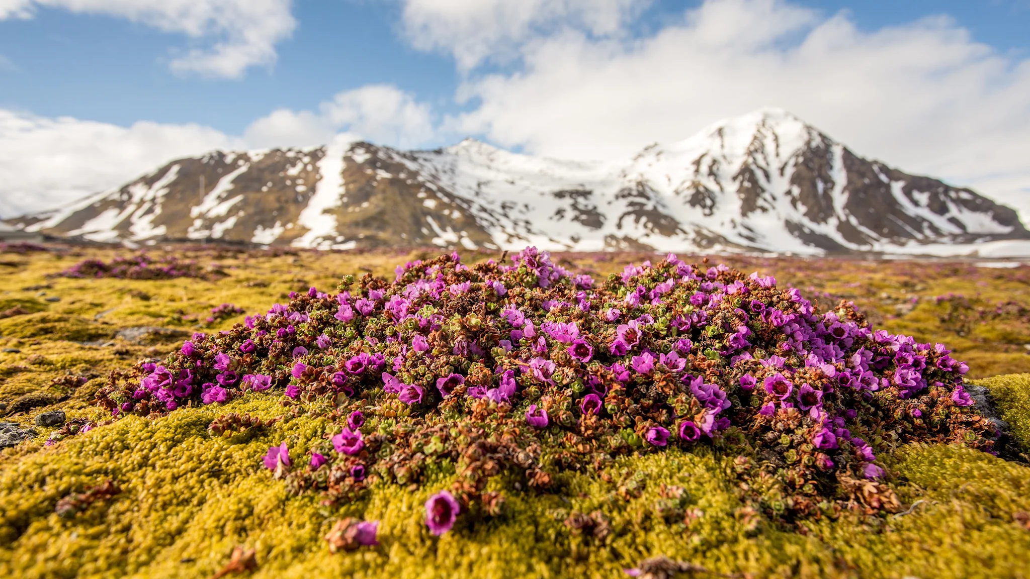 hornsund_spitsbergenshutterstock_505298479_3000x1688px.jpg