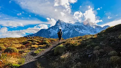 Chilenische Fjorde – Expedition ins Herz Patagoniens | Kurs Nord