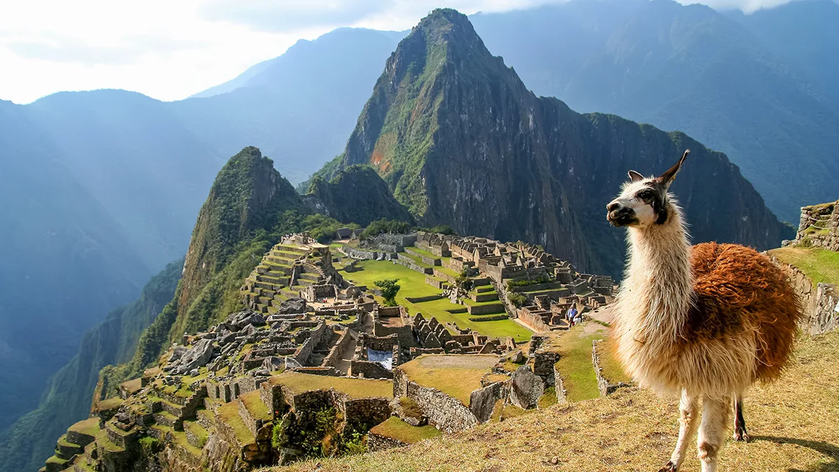 llama_machu-picchushutterstock_466511153_web.jpg