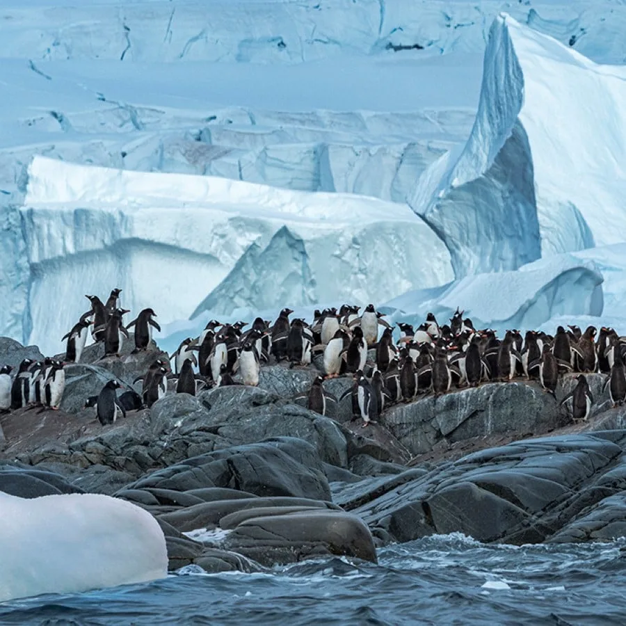 Expédition en Antarctique et Patagonie | Vers le sud