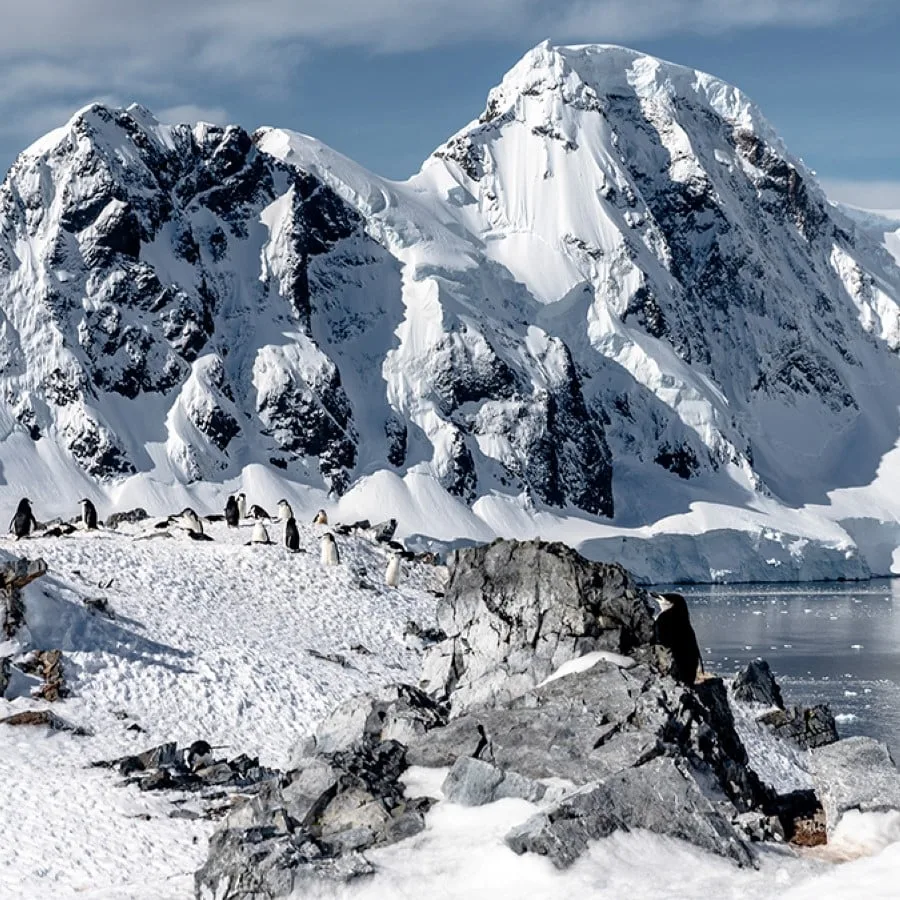 Seværdigheder i Antarktis