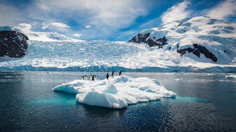 wildlife-antarctica-hgr-153303-photo\_getty\_images\_3000x1688.jpg