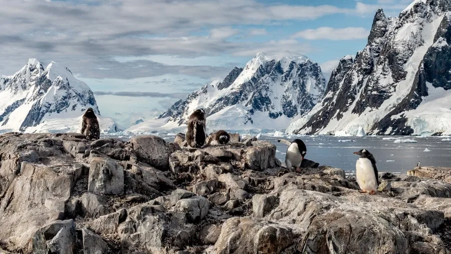 peterman-island-antarctica-hgr-153724-photo_oscar_farrera_3000x1688.jpg