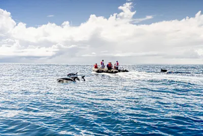 Galapagos-Inseln – Auf den Spuren Darwins (Kurs Ost)