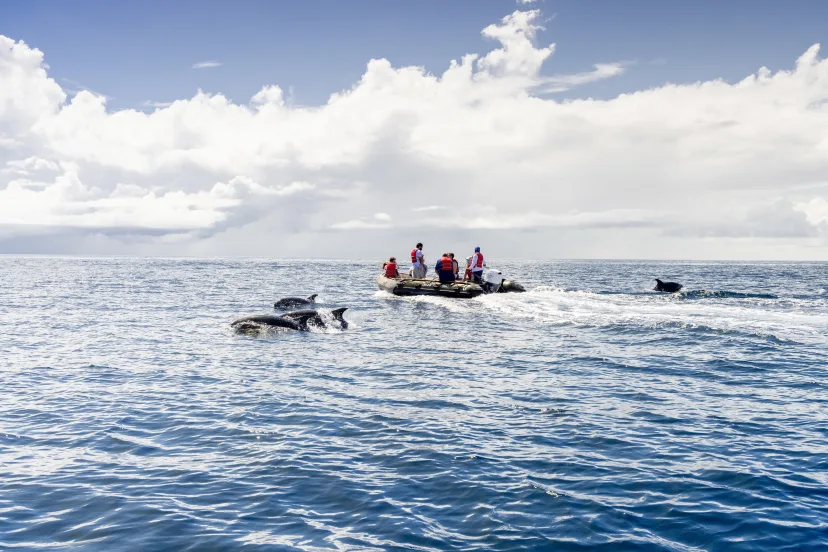 Galapagos-Inseln – Auf den Spuren Darwins (Kurs Ost)