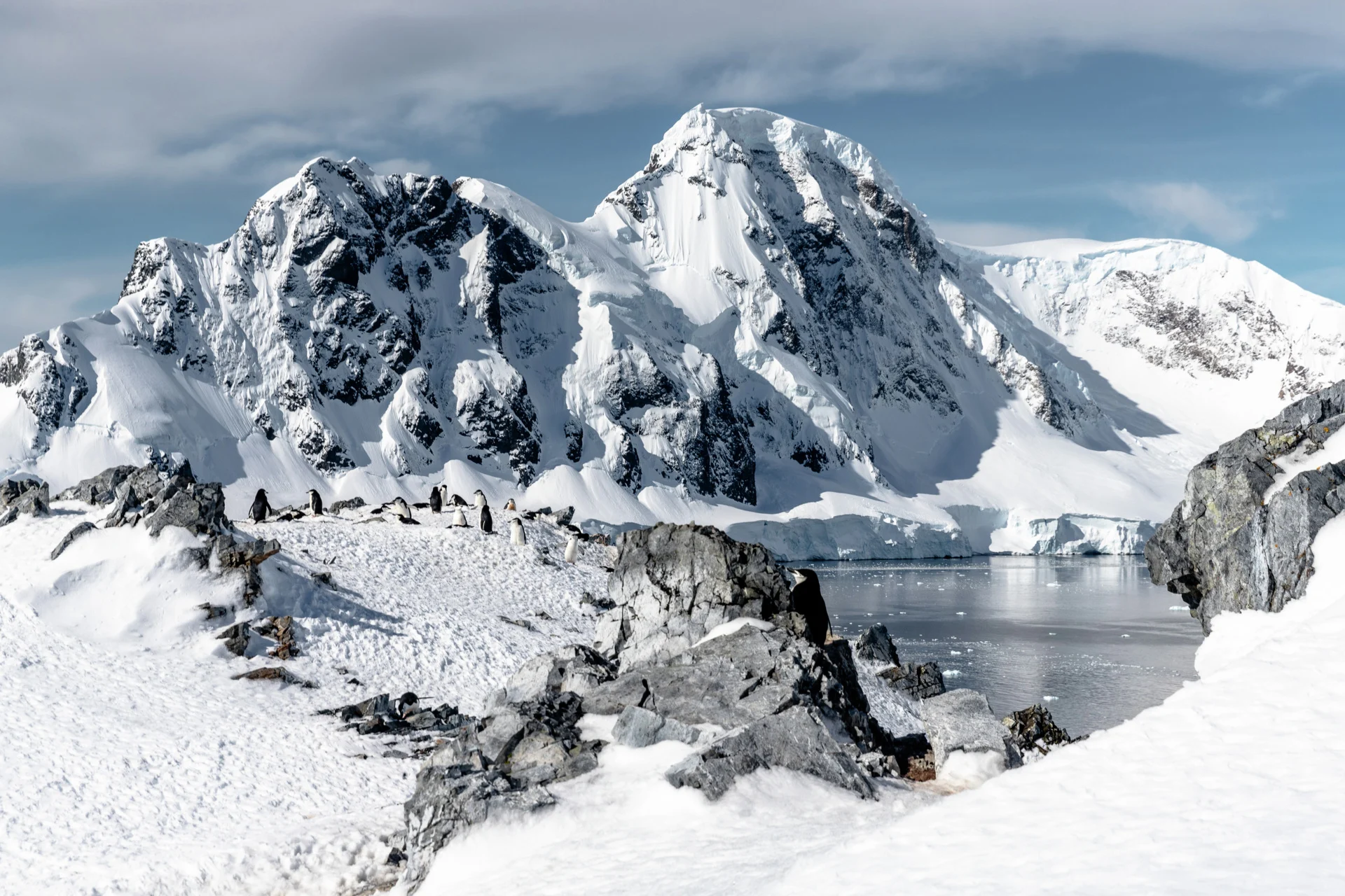 Orne_Harbour_Antarctica_HGR_152327_1920_Photo_Oscar_Farrera.jpg
