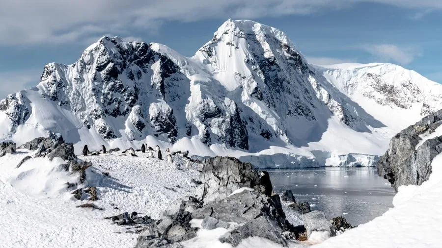 Croisière en Antarctique à la fin de l’été austral