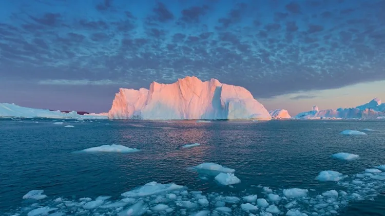 Grand Greenland: The Icy Giants of Disko Bay 2026