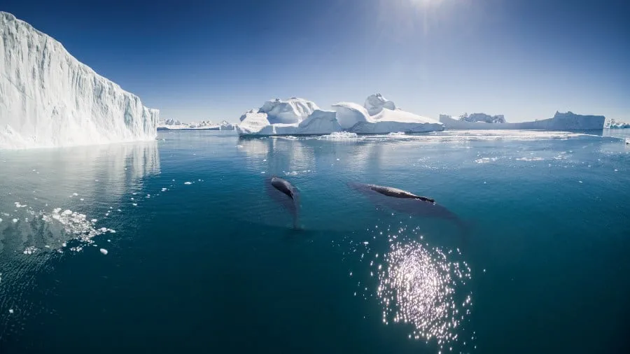 ilulissat-greenland_hgr-147447-photo_getty_image3000x1688px