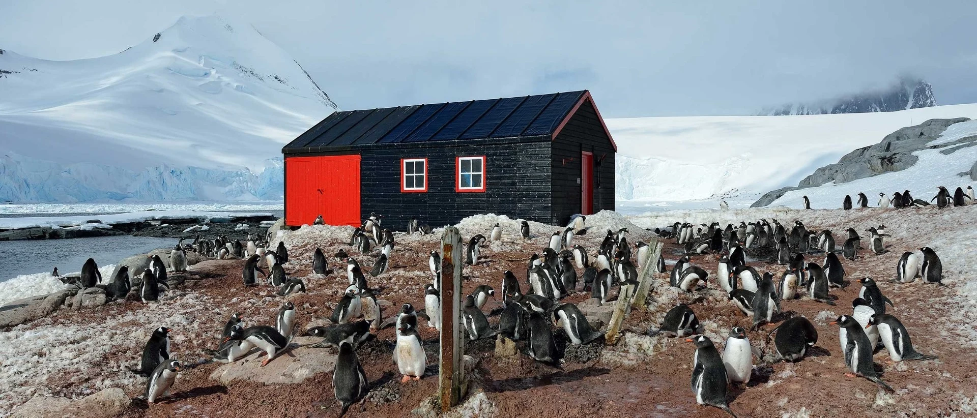 Port Lockroy: Fem sjove fakta