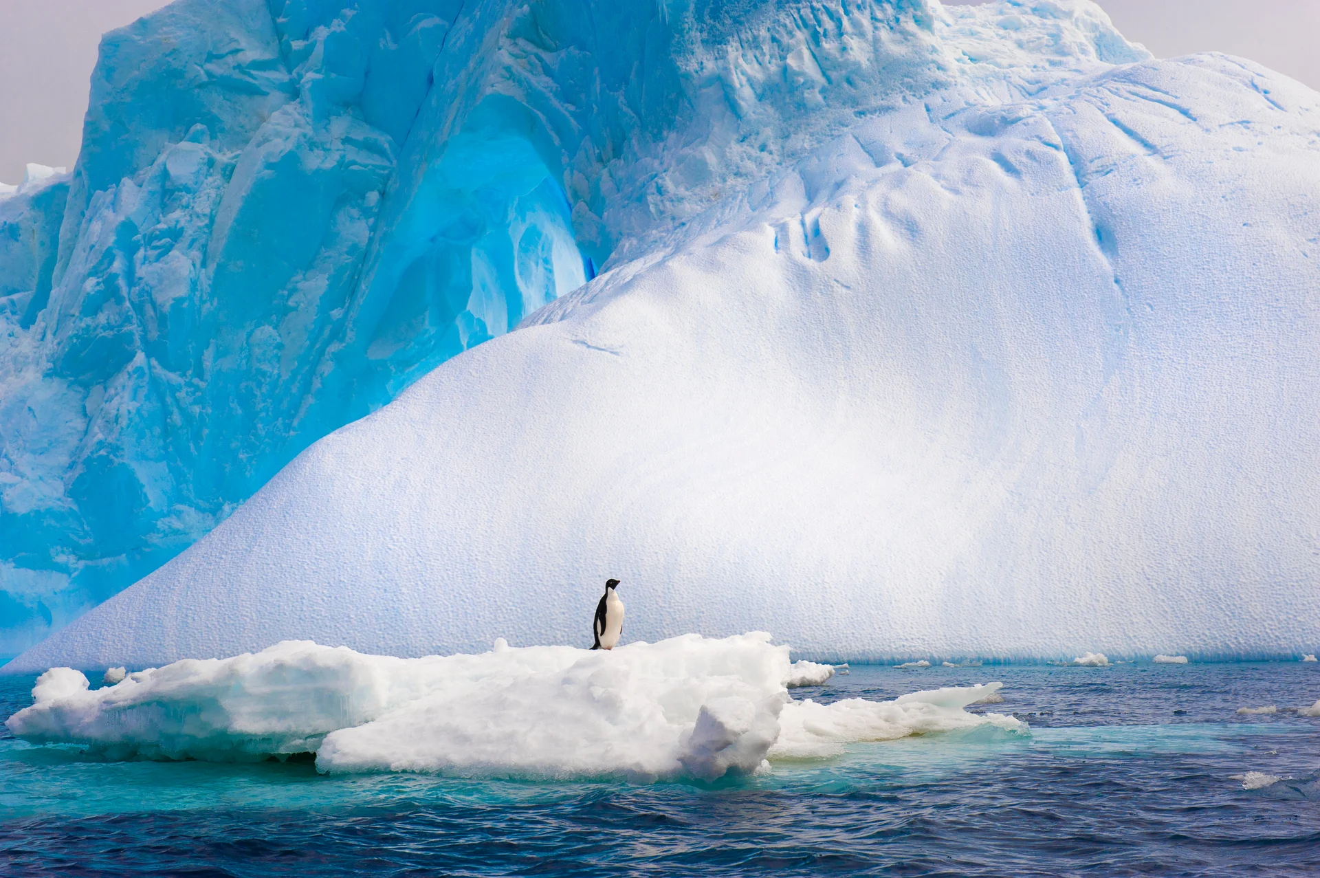 Antarctica