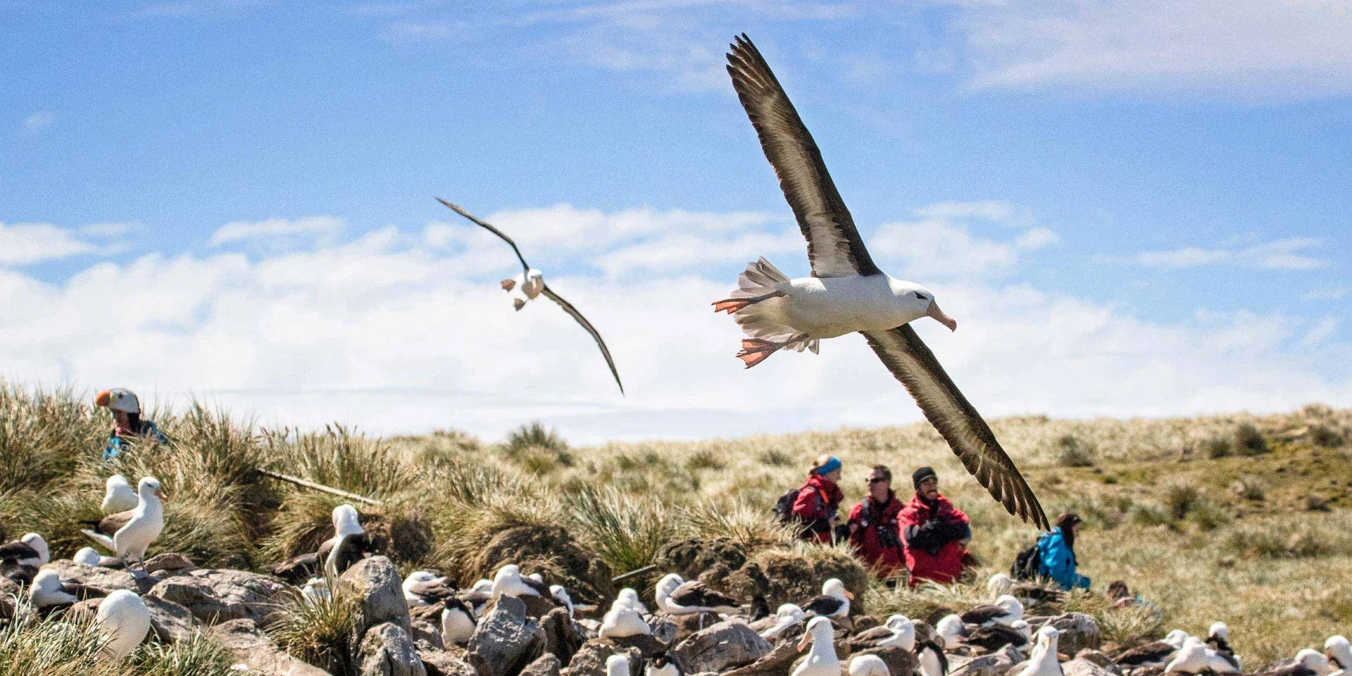 West Point, Falklands