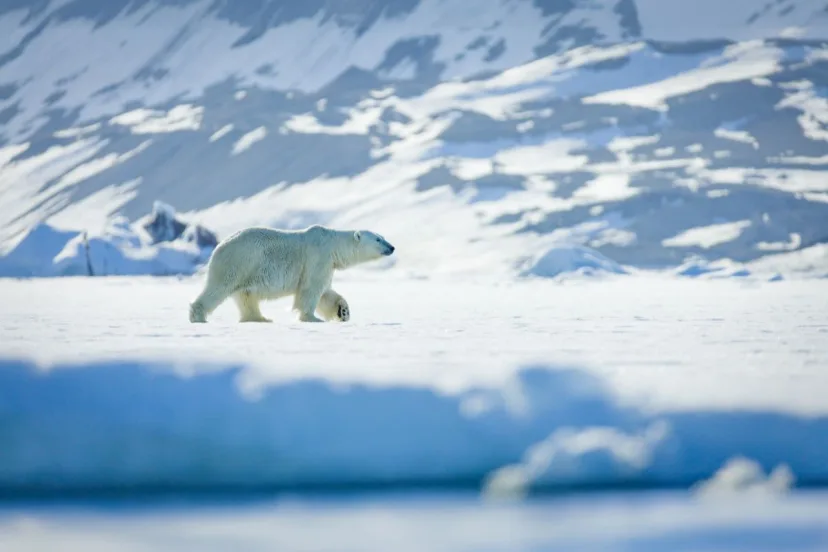 Svalbard