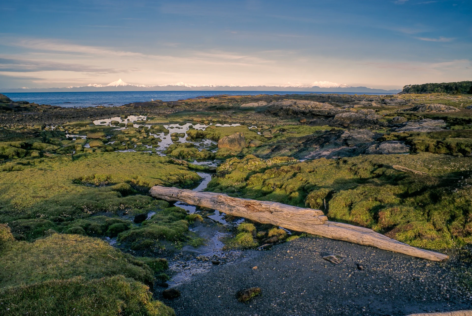DAY-13 CHILOE-NATIONAL-PARK AERIAL-VIEW SHUTTERSTOCK 414329725 DAY-13 CHILOE-NATIONAL-PARK AERIAL-VIEW SHUTTERSTOCK 414329725