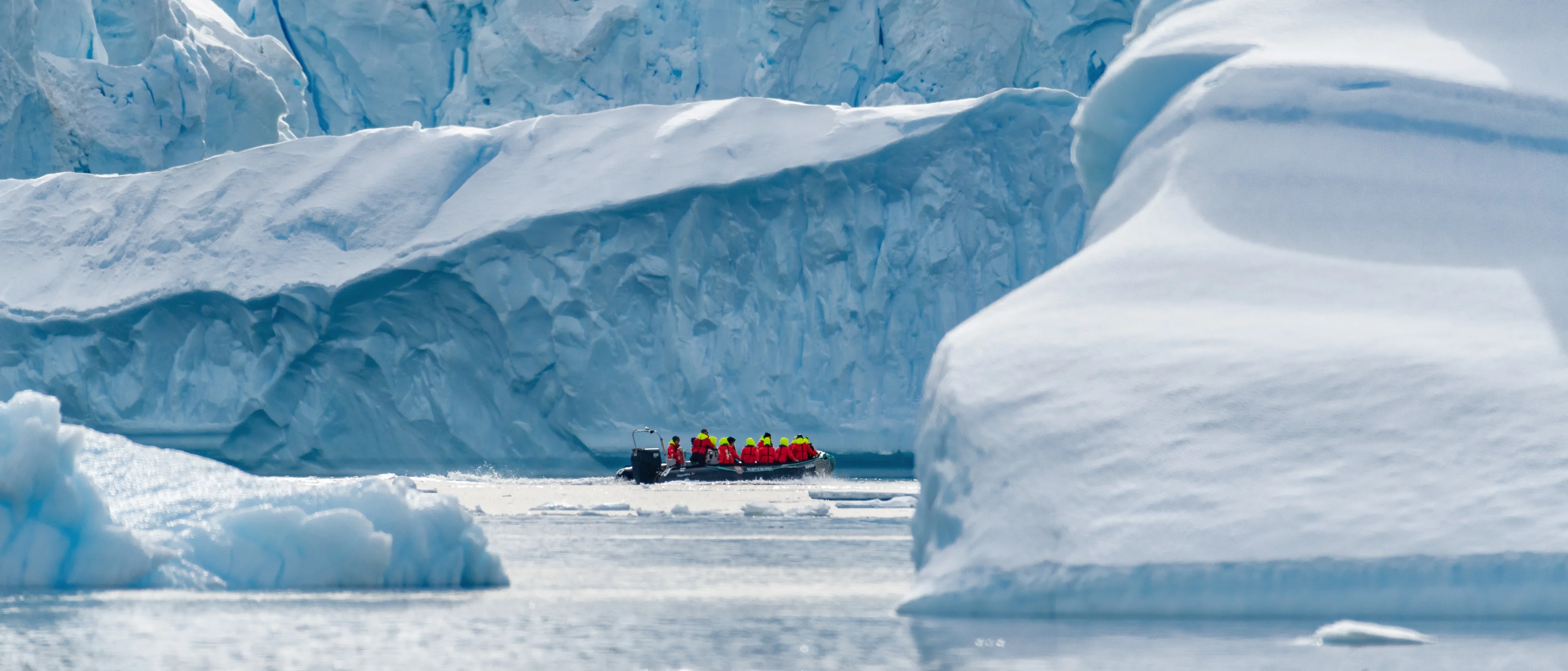 Cuverville Island, Antarctica - Photo: Karsten Bidstrup