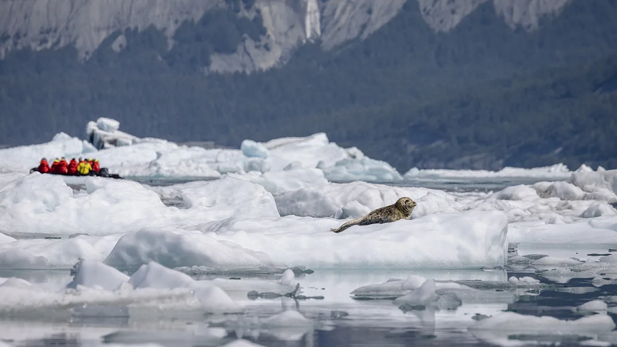 Alaska and British Columbia – Wilderness, Glaciers and Culture (Northbound)