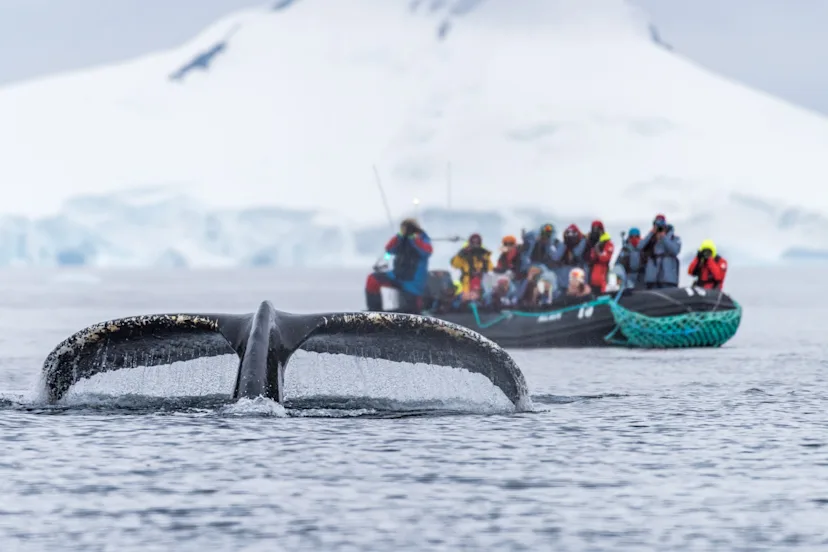 Explore Antarctica Offers