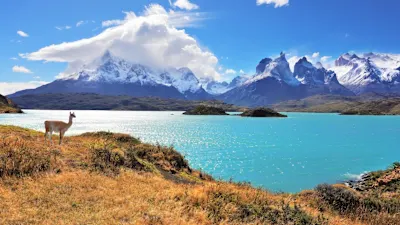 Chilenische Fjorde – Expedition ins Herz Patagoniens