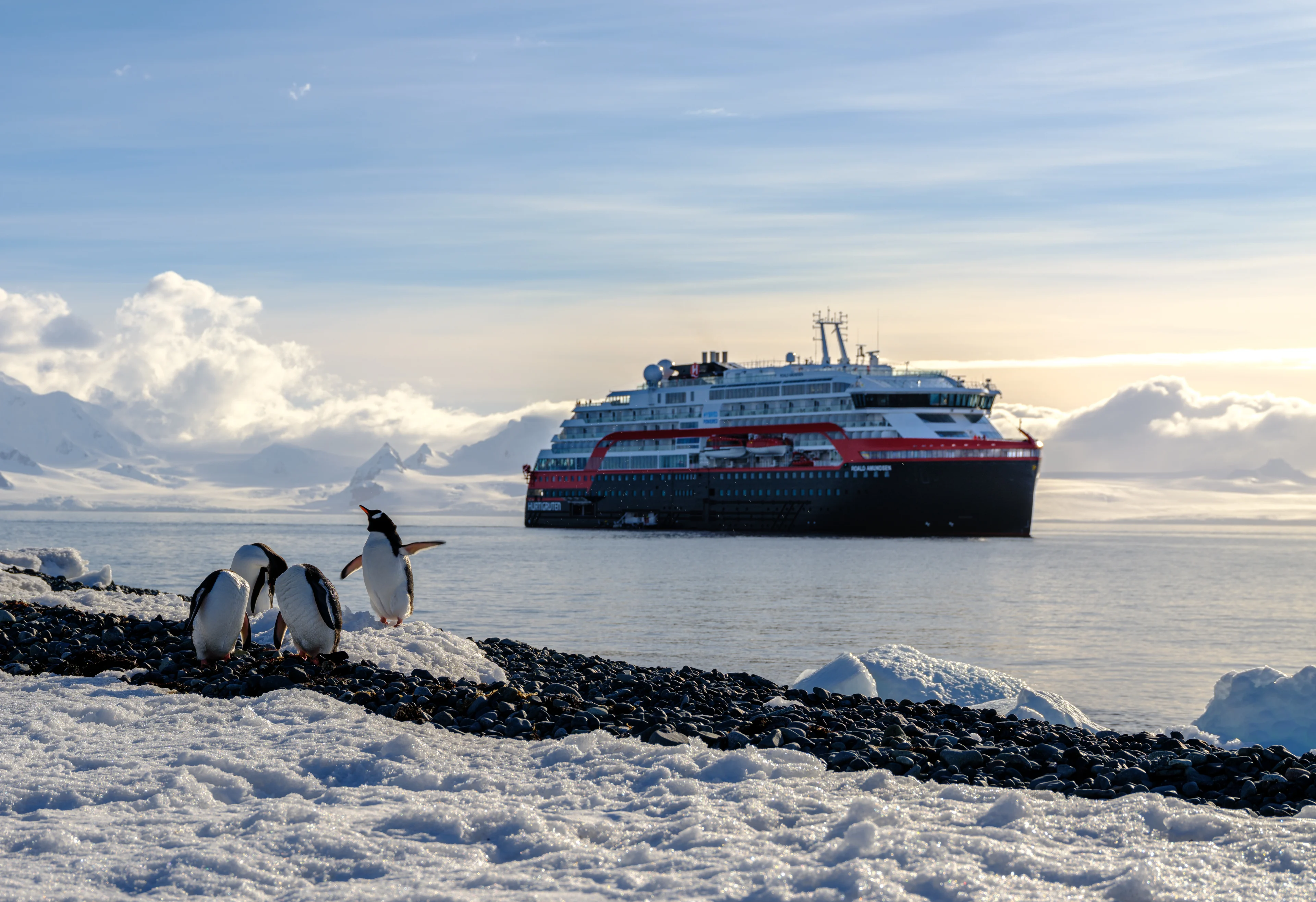 14 faszinierende Fakten über Pinguine