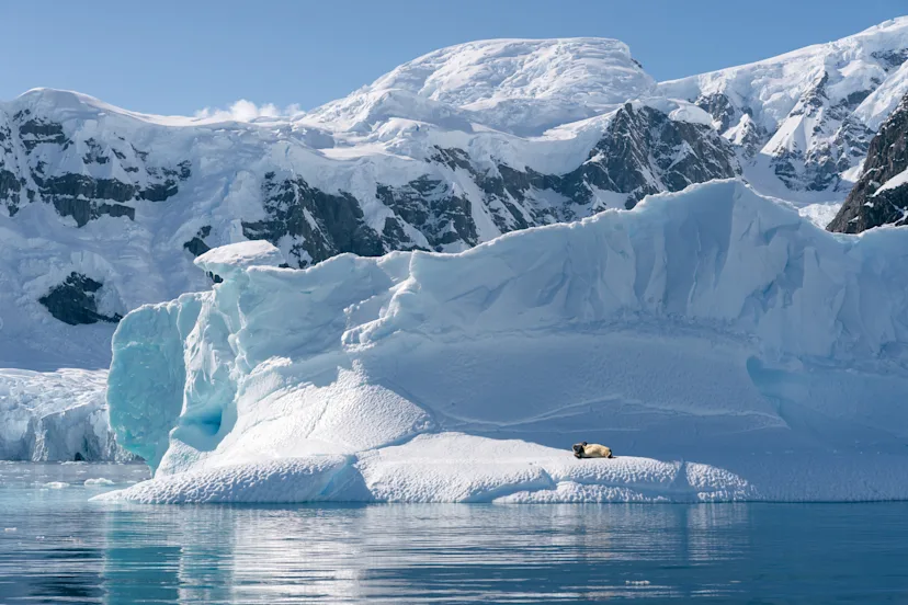 Antarctic Circle Expedition Cruise