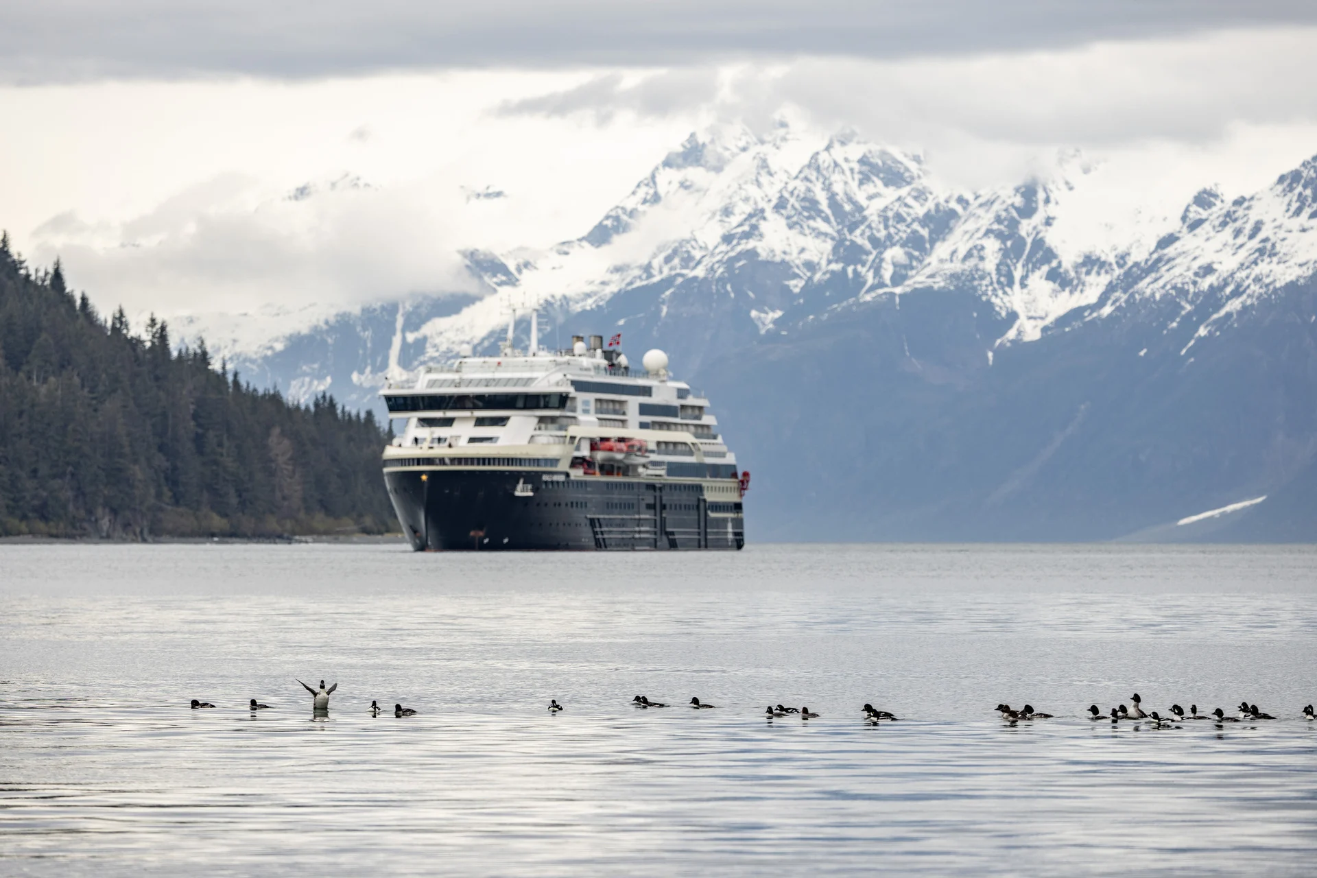 Alaska William Henry Bay MS Roald Amundsen HX 46790 Photo Ted Gatlin