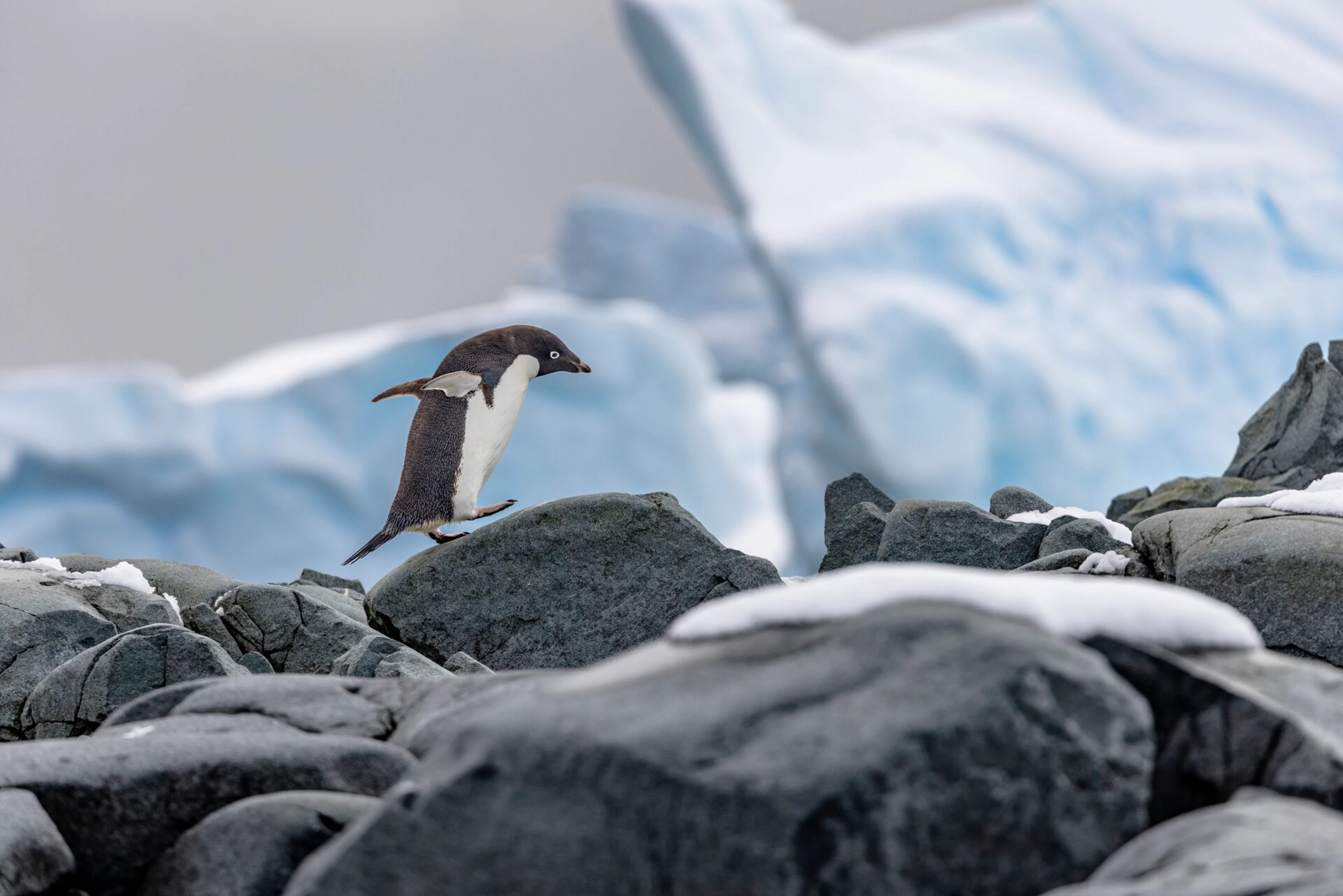 Win a £300 John Lewis voucher Oscar-Farrera-20240216-001-Fish-Islands-Oscar-Farrera-26881507-Photo Oscar Farrera 1920