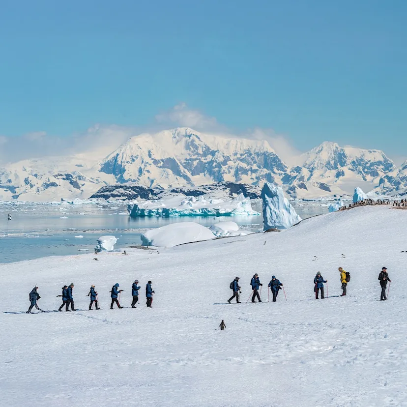 Explore Antarctica Offers