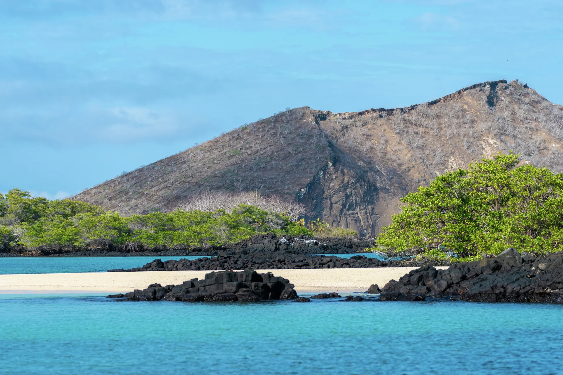 The sandy beach of Eden Islet, Galápagos Islands. Photo: John Chardine
