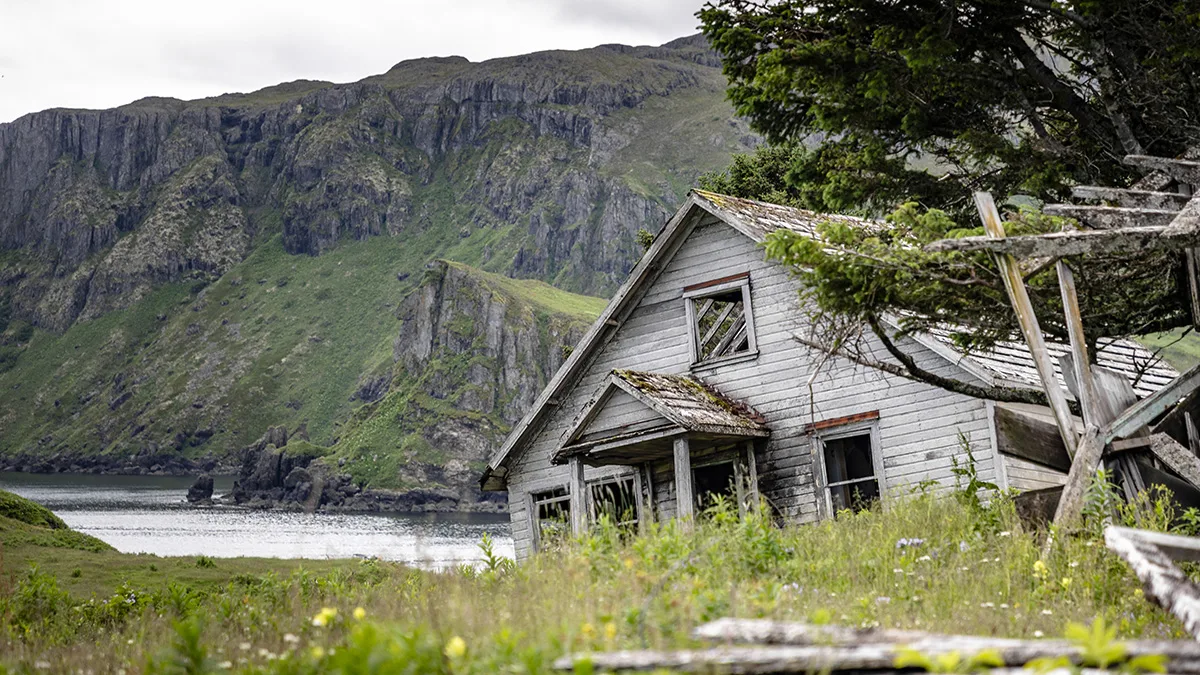 Alaska og British Columbia – Inside Passage, bjørner og Aleutene (nordgående) 