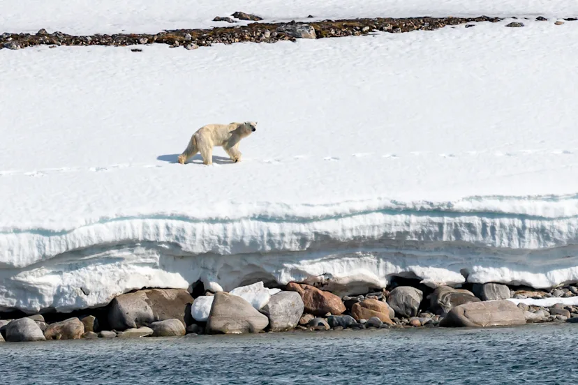Svalbard in Spring – The Return of the Sun