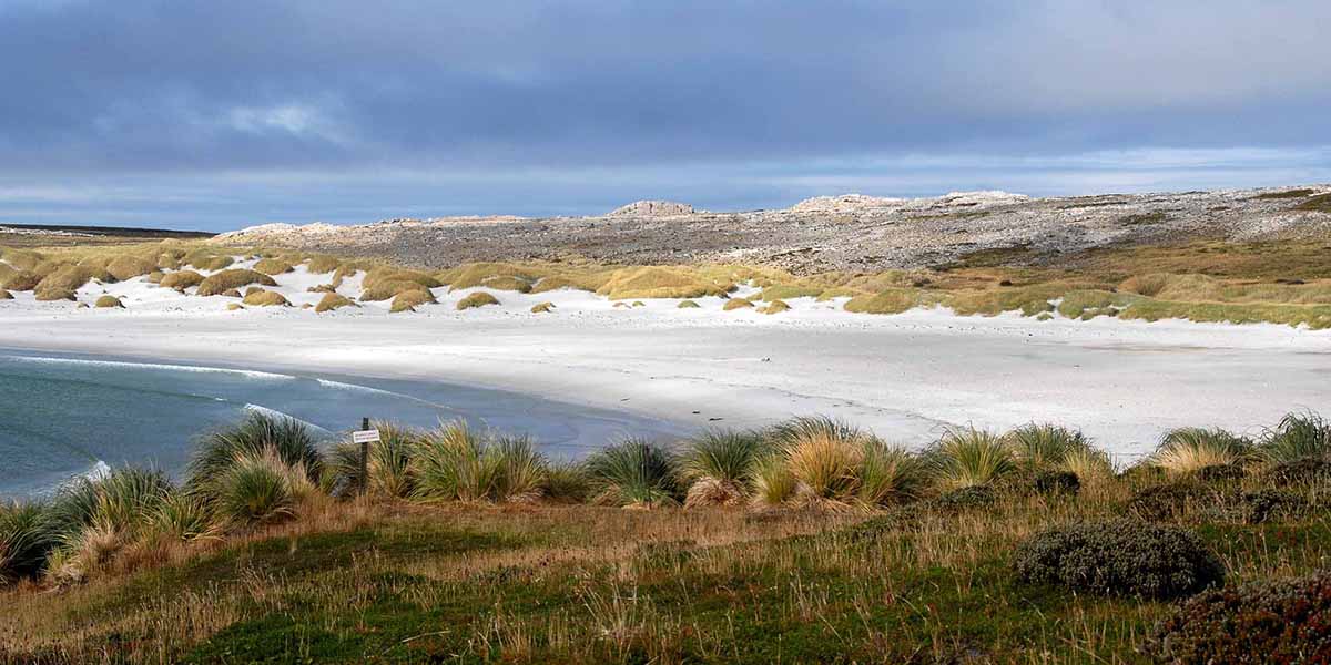 A traveler's guide to the Falkland Islands