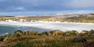 Stanley, Falkland Islands