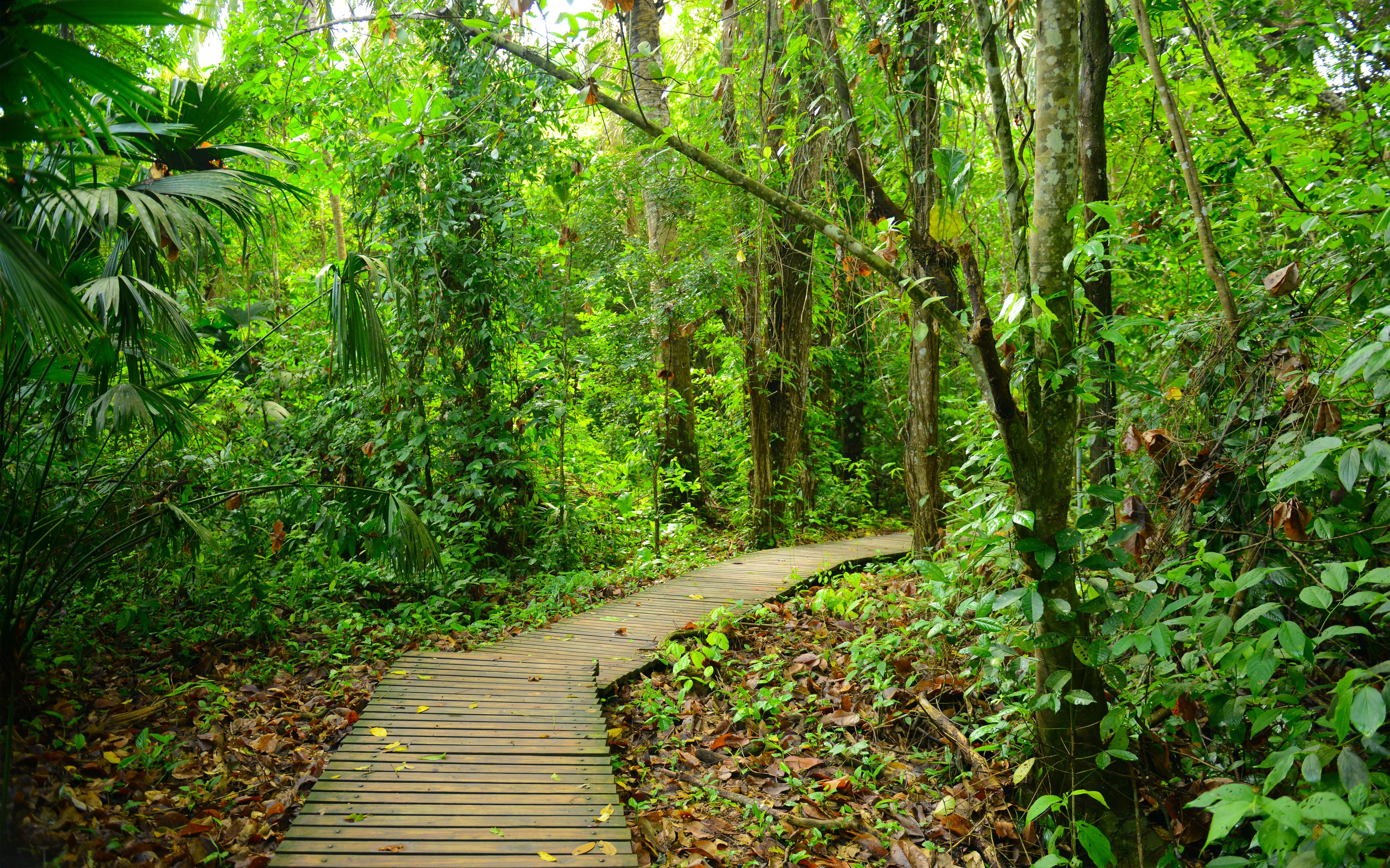 tayrona park santa marta