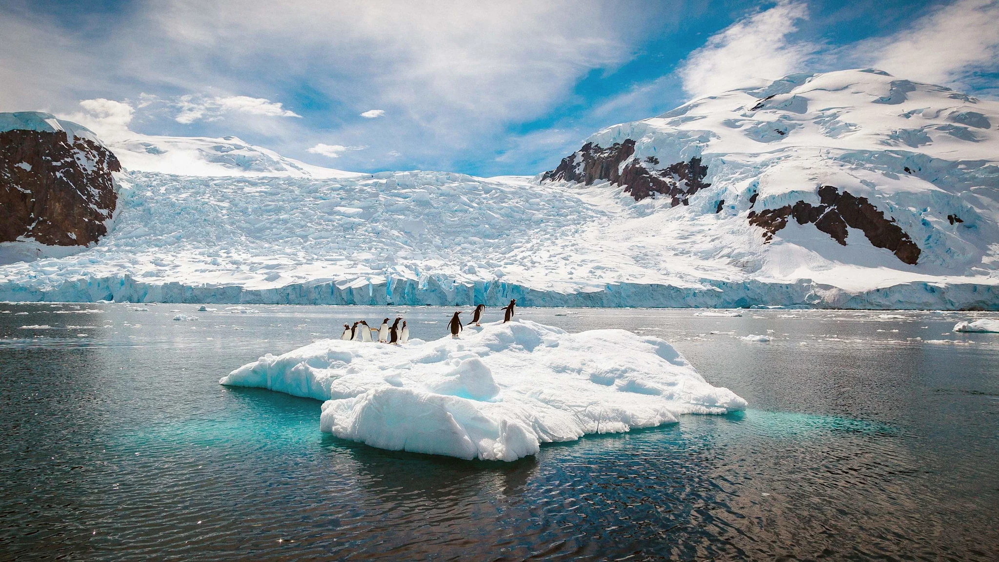 Wildlife-Antarctica-HGR-153303--Photo Getty Images 3000x1688 resized
