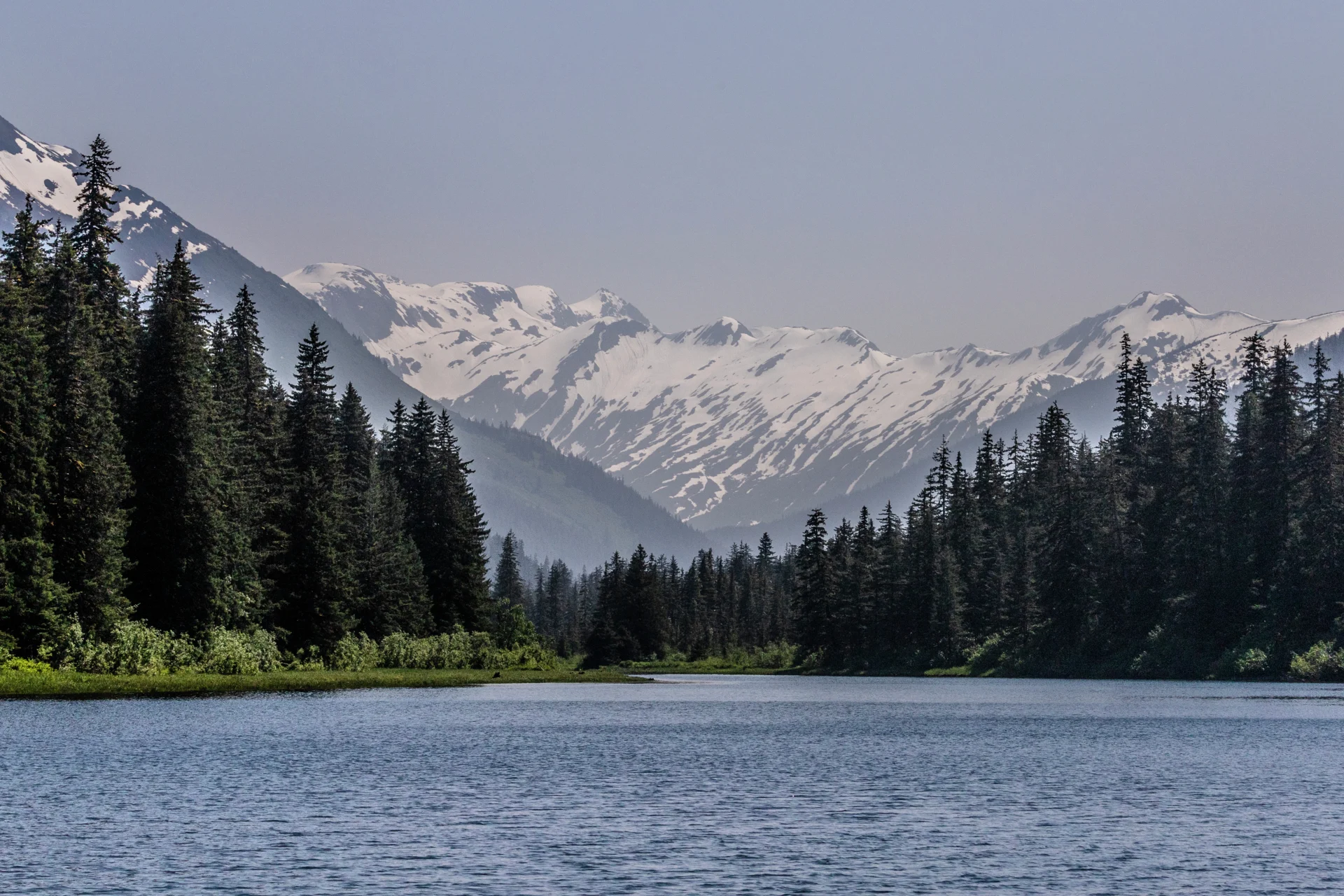 The nature of Wrangell, Alaska, USA. Photo: Oscar Farrera