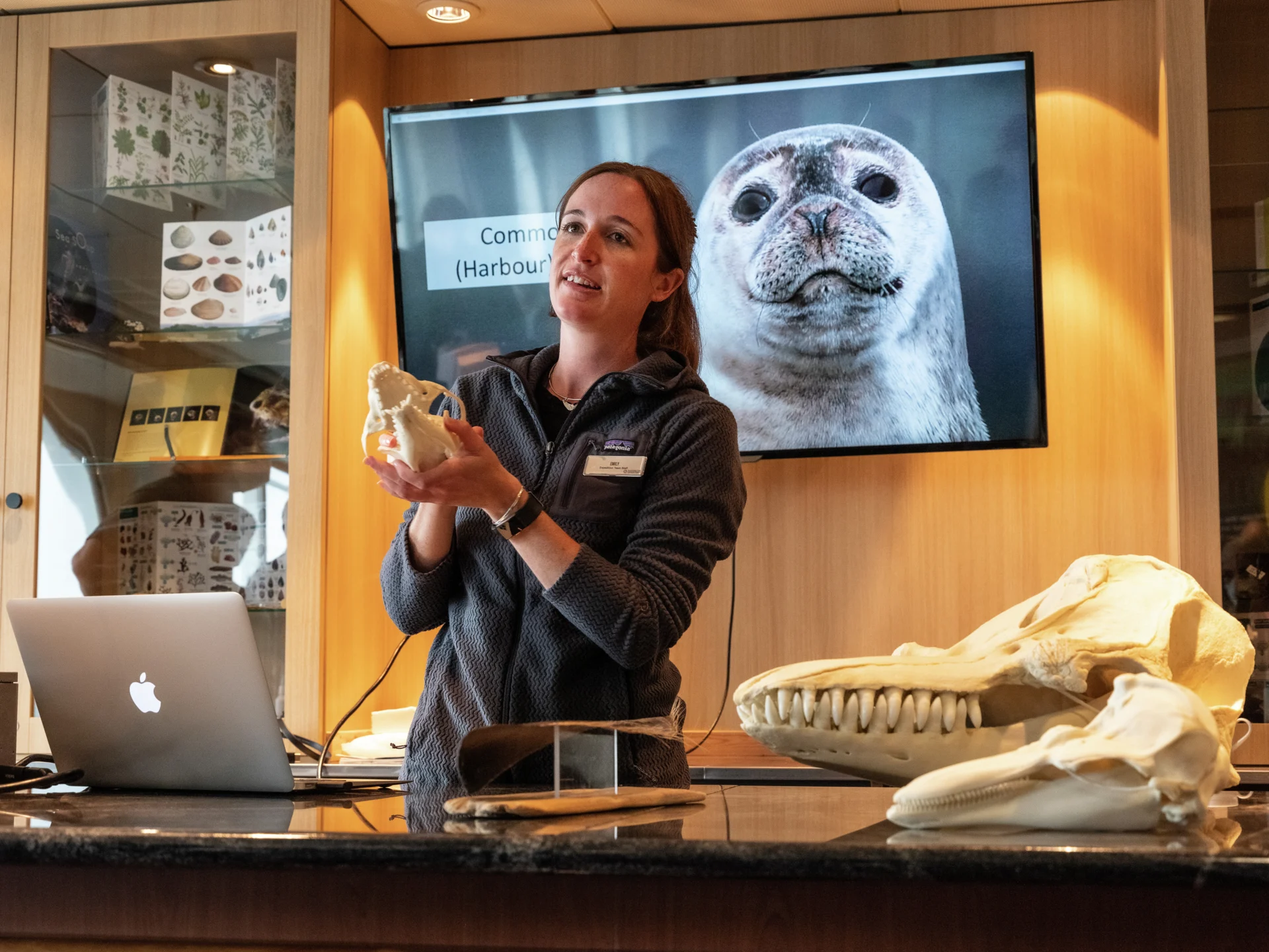 Wildlife lecture in the Science Center on board MS Maud. Photo: Tommy Simonsen